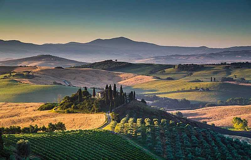 Monferrato Italia vineyards