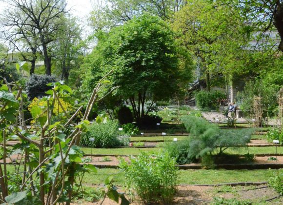 Botanical Garden of Brera