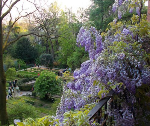 Botanical Garden of Brera Milan