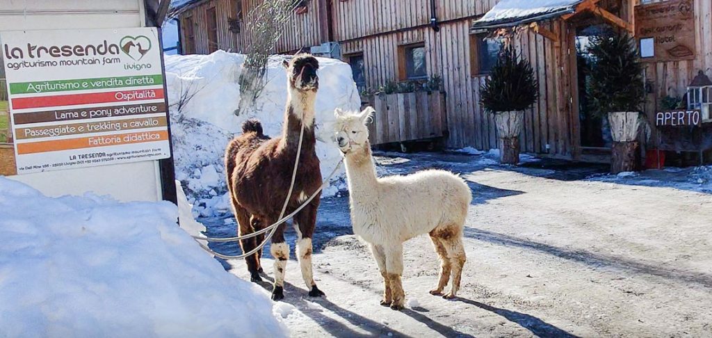 La tresenda agriturismo Livigno