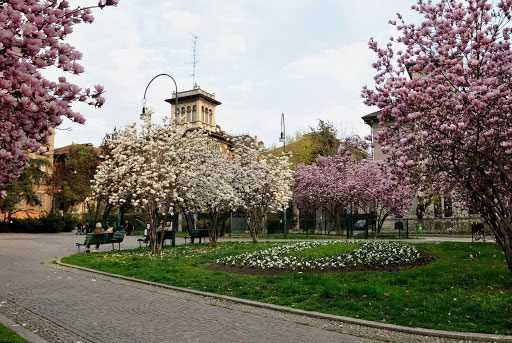 The beauty of Piazza Tommaseo and its magnolias - The Milan Diaries