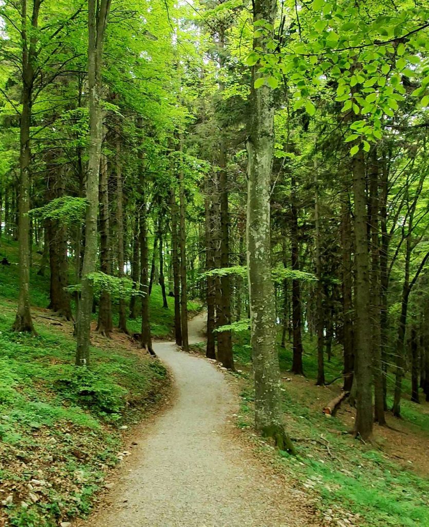 trekking Piani dei Resinelli