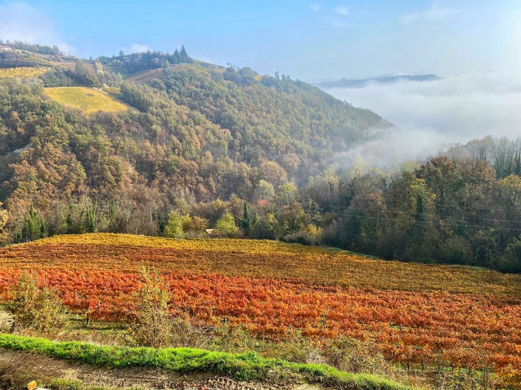 Autumn colors in Montabone