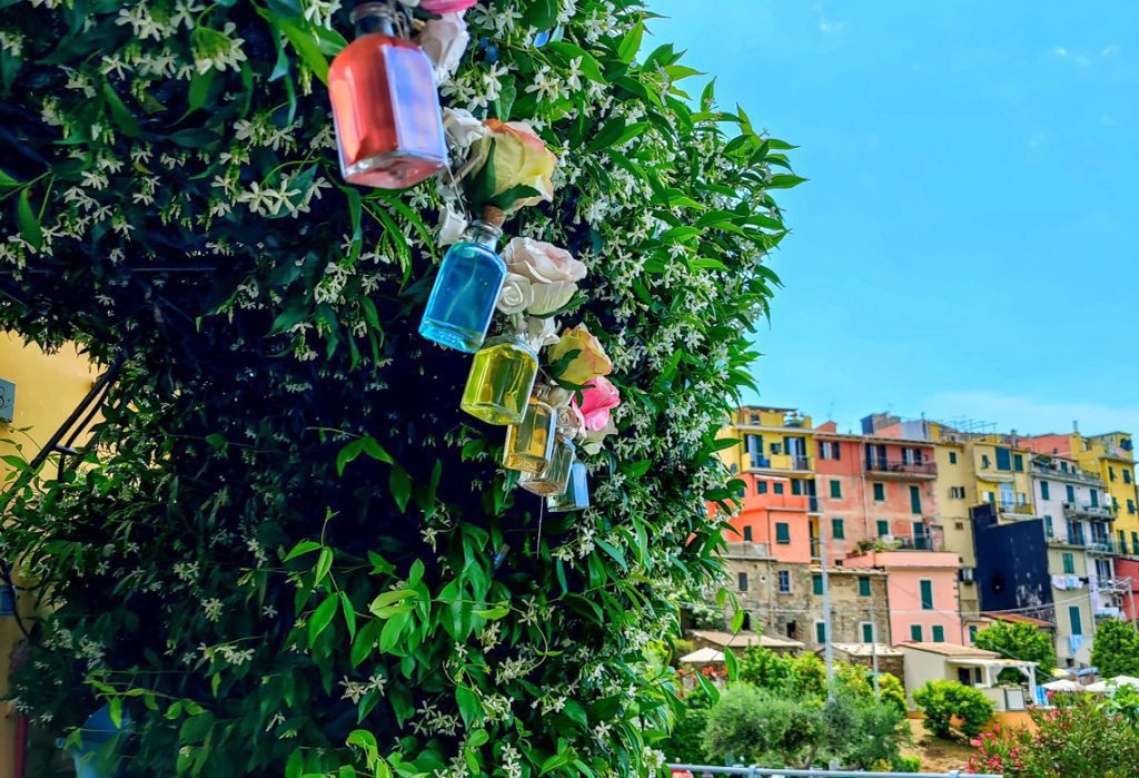 Corniglia Cinqueterre