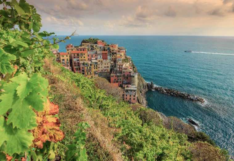 Manarola winery