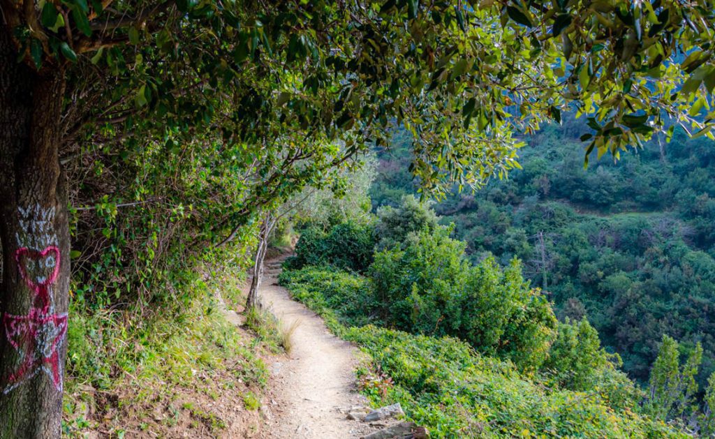 Trekking Vernazza