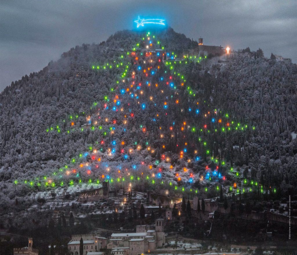 Christmas Tree Gubbio