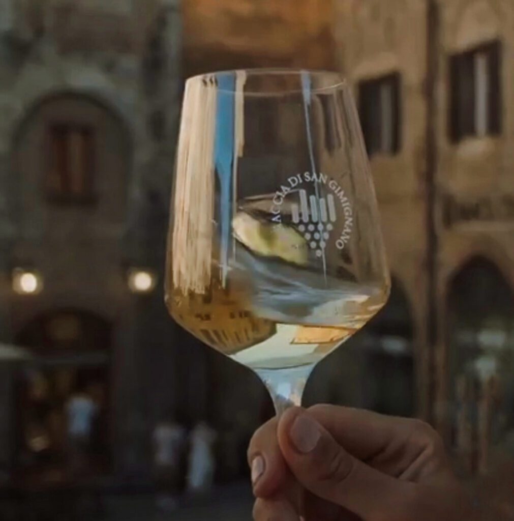 Wine tasting San Gimignano