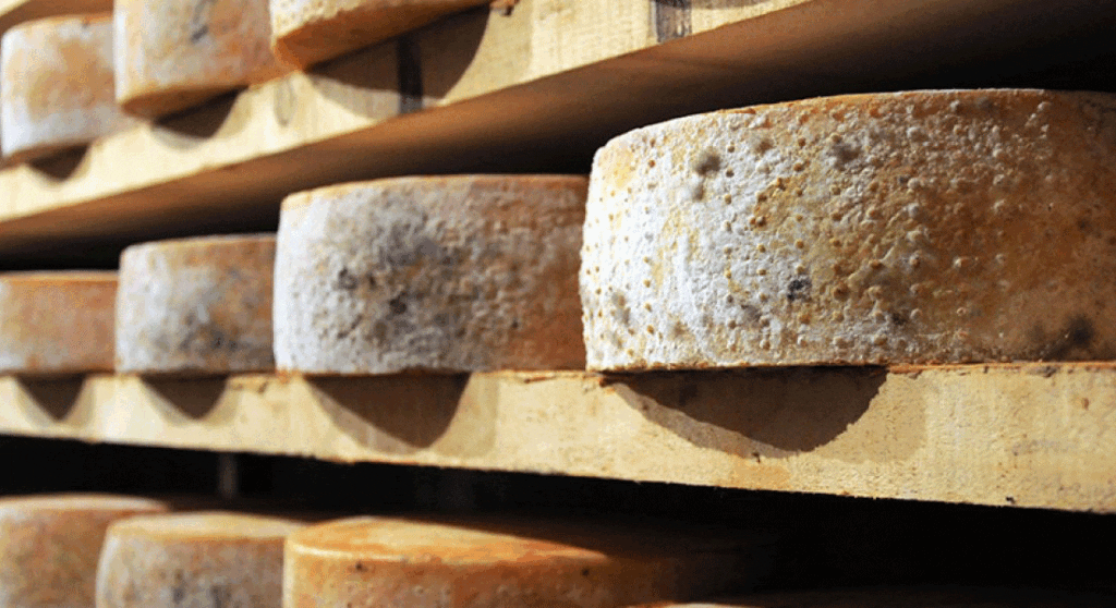 Aosta cheese